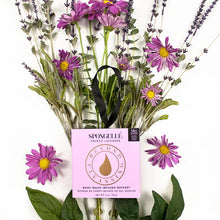 Load image into Gallery viewer, Spongelle Boxed Flower French Lavender